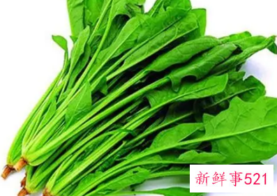 孕妇吃菠菜的营养价值和功效