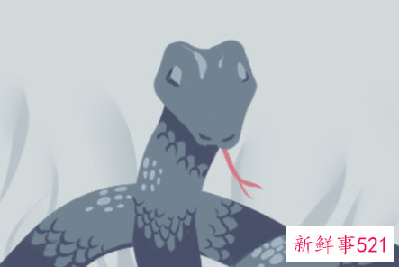 女人梦见了蛇预示着什么