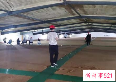 国家粮仓是什么样的