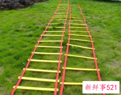 体育课常用器材