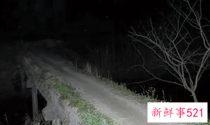 梦见走夜路回家什么意思