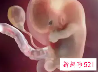 怀孕一周有什么症状