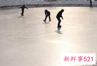 短道速滑的基本知识