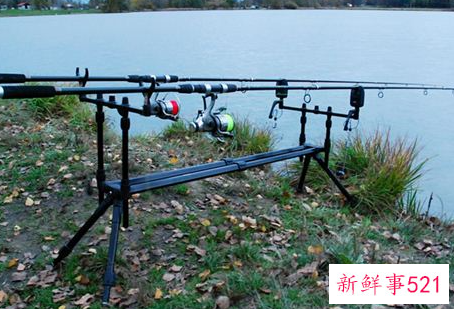 梦见鱼竿有什么征兆