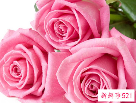 送一朵玫瑰花代表什么意思