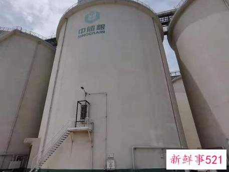 国家粮仓是什么样的