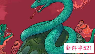 2001年属蛇男命高考运势