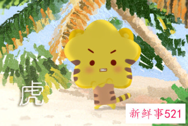 本命年的虎要注意什么