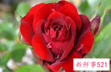 送对象的定情信物