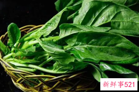 孕妇吃菠菜的营养价值和功效