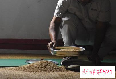 国家粮仓是什么样的