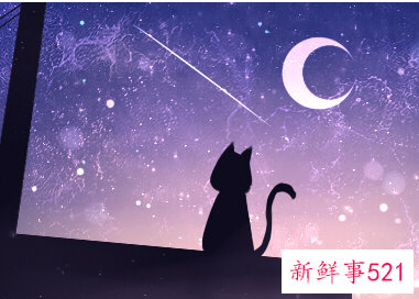 三九天指什么生肖