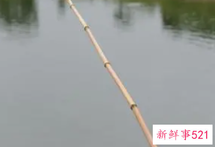 梦见鱼竿有什么征兆