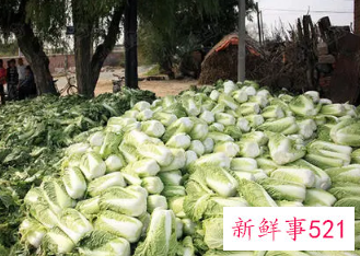 秋分节气吃什么传统食物