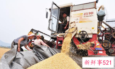 国家粮仓是什么样的