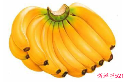 女人春季美容的水果