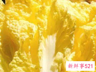 娃娃菜怎么放可以时间长点