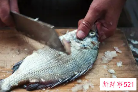 梦见捞鱼是什么意思呢