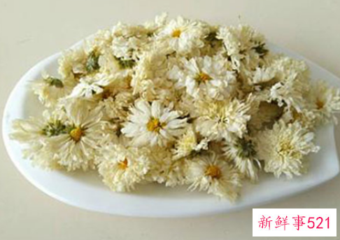 白菊花茶泡水喝的禁忌及注意事项