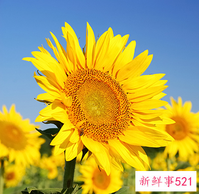 怎样除螨虫最有效