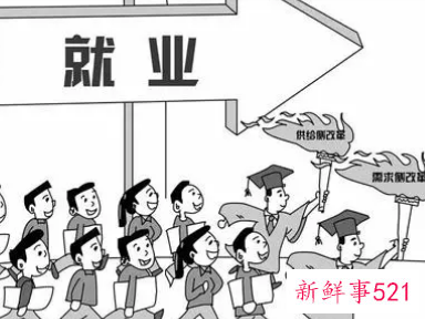 毕业生就业表在哪里