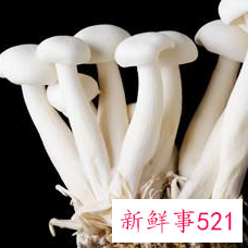 金针菇和什么相克呢