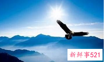 在事业上取得了怎样的成功