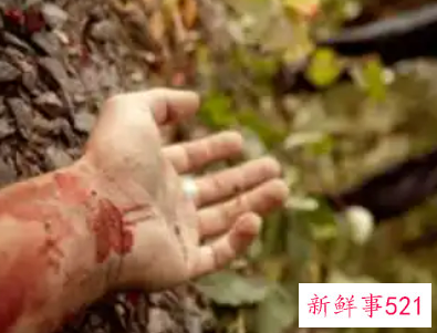 梦见杀人案是什么意思