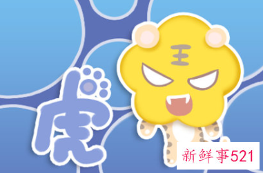 本命年的虎要注意什么