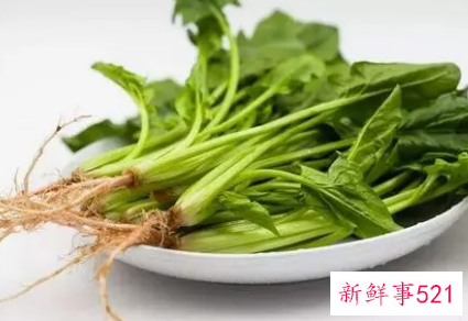 孕妇吃菠菜的营养价值和功效