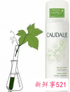 干性皮肤用什么补水好