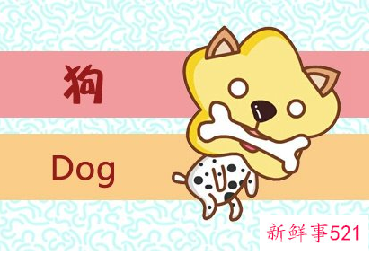 82年狗女2022年每月运势