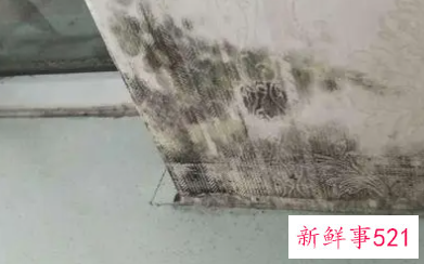 房间墙壁发霉对身体有害吗