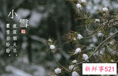 节气大雪诗意语句
