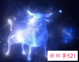 金牛座和什么星座在一起注定没有未来