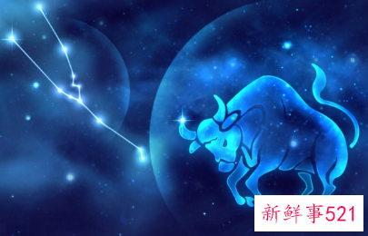 十二星座对应花的花语