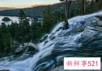 感悟句子致自己