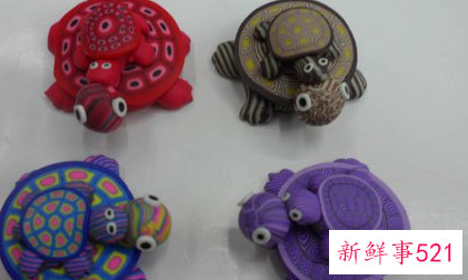 梦见彩色的乌龟是什么意思