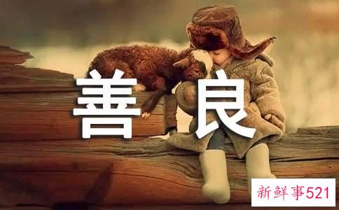 哪些星座的善良指数最高