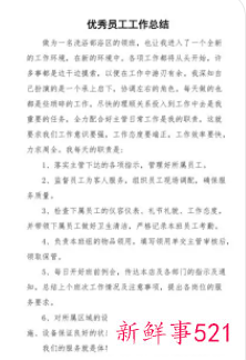 优秀员工个人总结300字