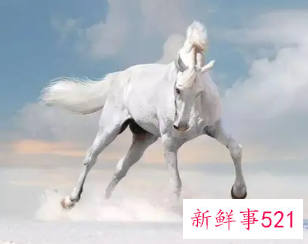 2022年虎年属马人的全年运势