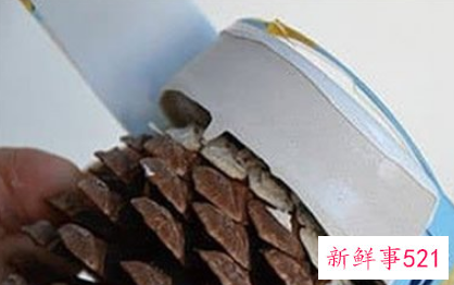 松果能做什么装饰品
