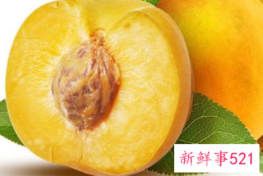 黄桃什么季节成熟