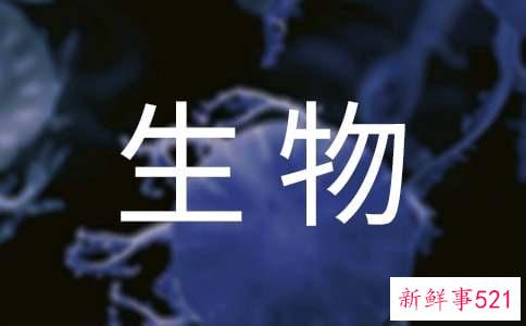 如何根据生物钟做好美肤工作