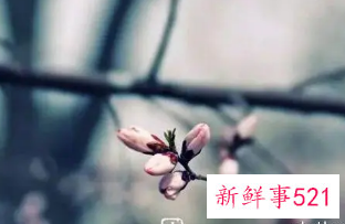 立春快乐的祝福语