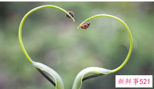 有品味女人的表现