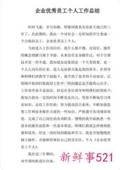 优秀员工个人总结300字