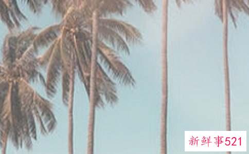 夏季控油小妙招解决肌肤油腻问题