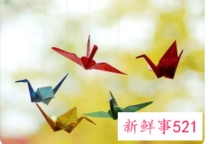 千纸鹤的用意
