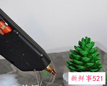 松果能做什么装饰品